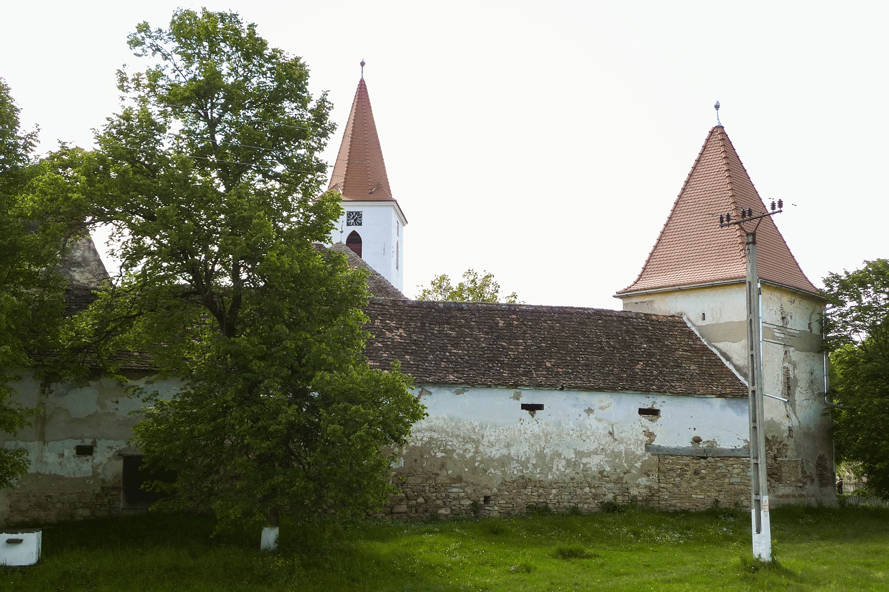 Image Alt