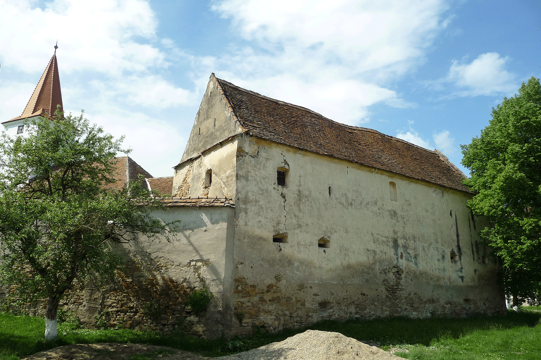 Image Alt
