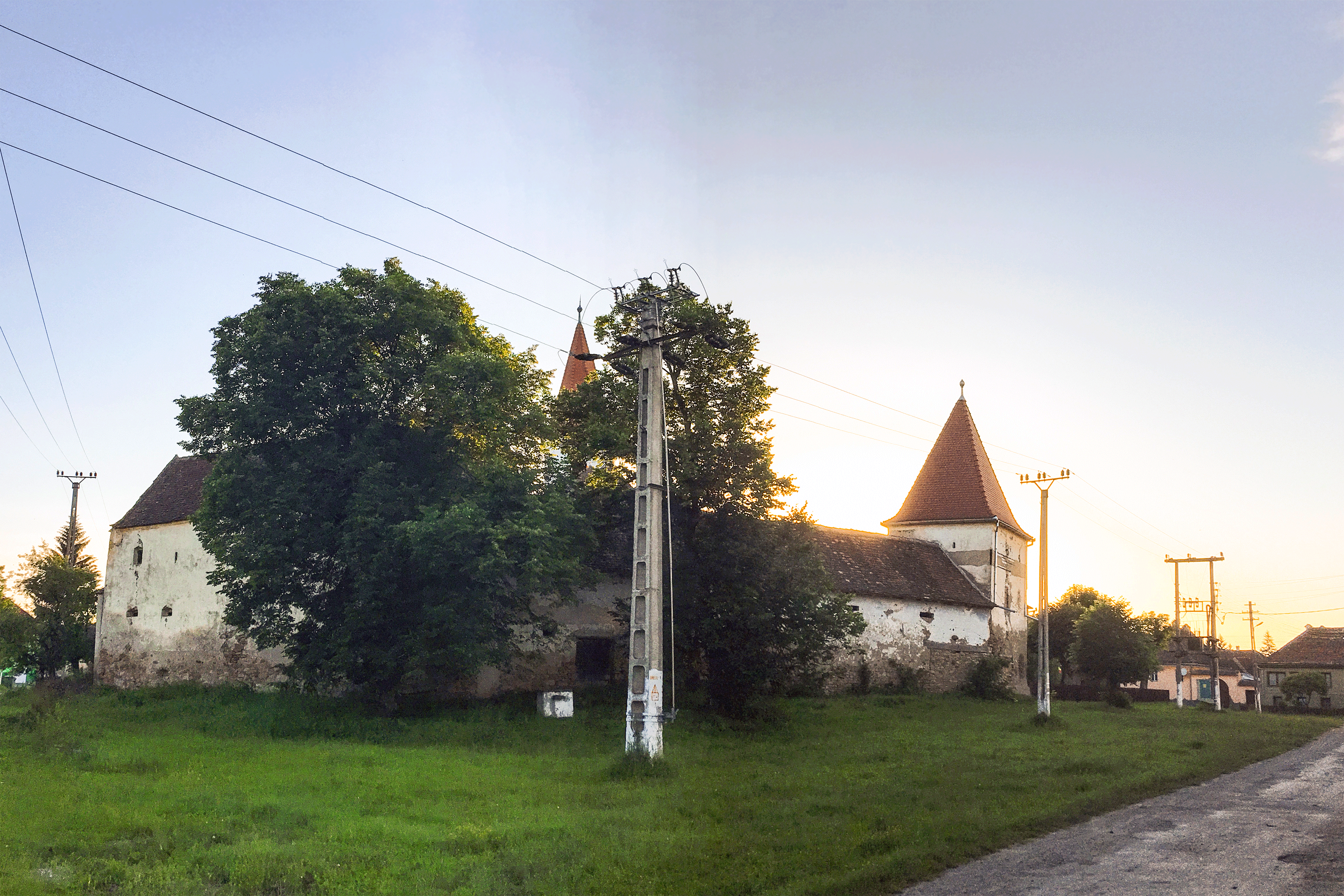 Image Alt